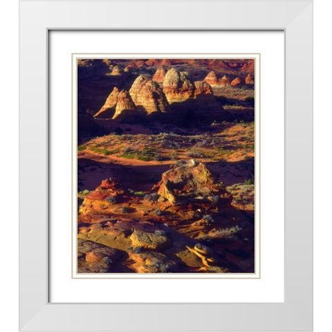 Arizona, Sandstone formations in the Paria Canyon White Modern Wood Framed Art Print with Double Matting by Talbot Frank, Christopher
