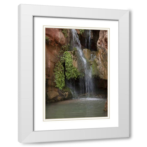 Arizona, Grand Canyon Waterfall at Elves Chasm White Modern Wood Framed Art Print with Double Matting by Grall, Don