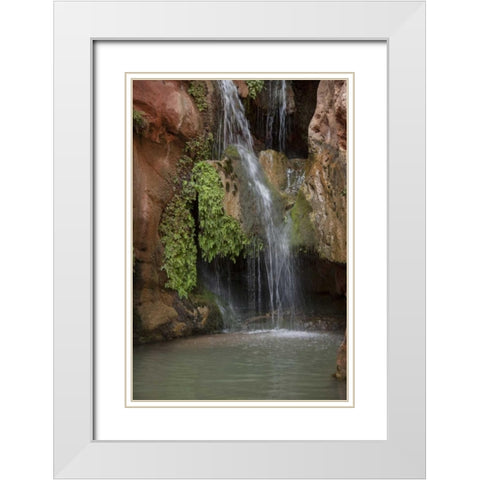 Arizona, Grand Canyon Waterfall at Elves Chasm White Modern Wood Framed Art Print with Double Matting by Grall, Don