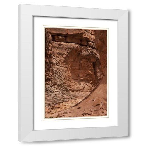 AZ, Grand Canyon, Pattern in sandstone formations White Modern Wood Framed Art Print with Double Matting by Grall, Don