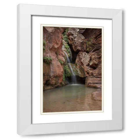Arizona, Grand Canyon Waterfall at Elves Chasm White Modern Wood Framed Art Print with Double Matting by Grall, Don