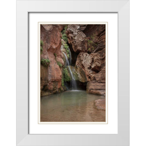 Arizona, Grand Canyon Waterfall at Elves Chasm White Modern Wood Framed Art Print with Double Matting by Grall, Don