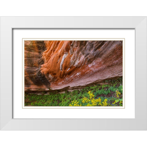 Arizona Hanging Garden in Canyon X White Modern Wood Framed Art Print with Double Matting by Paulson, Don