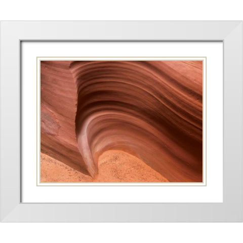 Arizona, Canyon X Formation in sandstone rock White Modern Wood Framed Art Print with Double Matting by Paulson, Don