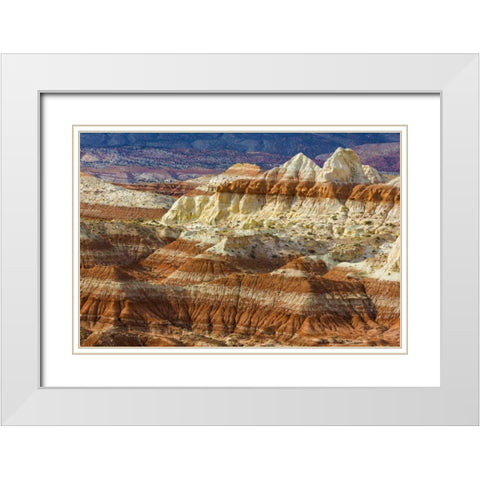 Arizona A desert area called Toad Stools White Modern Wood Framed Art Print with Double Matting by Paulson, Don