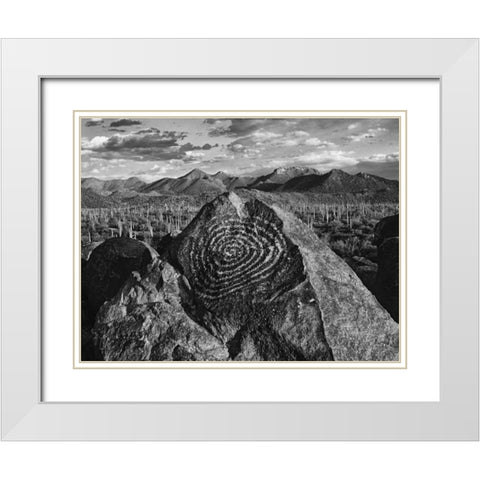 Arizona, Saguaro NP Petroglyphs on Signal Hill White Modern Wood Framed Art Print with Double Matting by Flaherty, Dennis