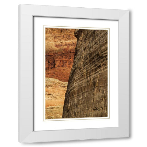 AZ, Grand Canyon, Sandstone wall in Marble Canyon White Modern Wood Framed Art Print with Double Matting by Grall, Don