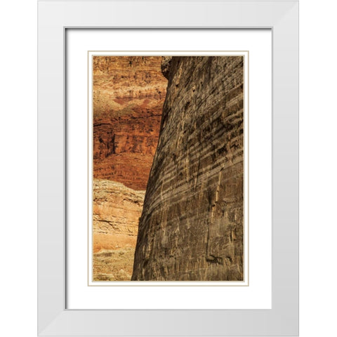 AZ, Grand Canyon, Sandstone wall in Marble Canyon White Modern Wood Framed Art Print with Double Matting by Grall, Don