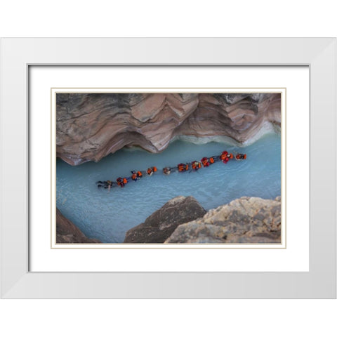AZ, Grand Canyon, Students float on Havasu Creek White Modern Wood Framed Art Print with Double Matting by Grall, Don