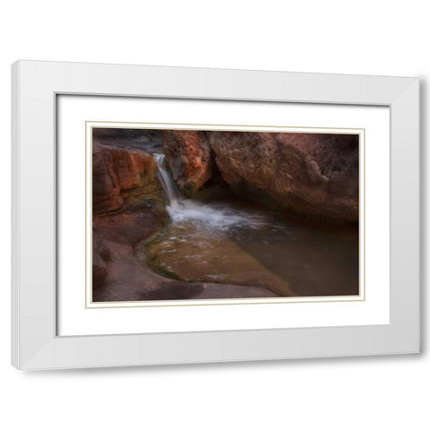 Arizona, Grand Canyon Flowing Royal Arch Creek White Modern Wood Framed Art Print with Double Matting by Grall, Don