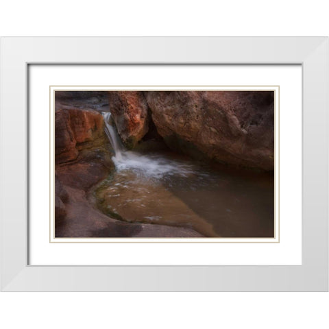 Arizona, Grand Canyon Flowing Royal Arch Creek White Modern Wood Framed Art Print with Double Matting by Grall, Don