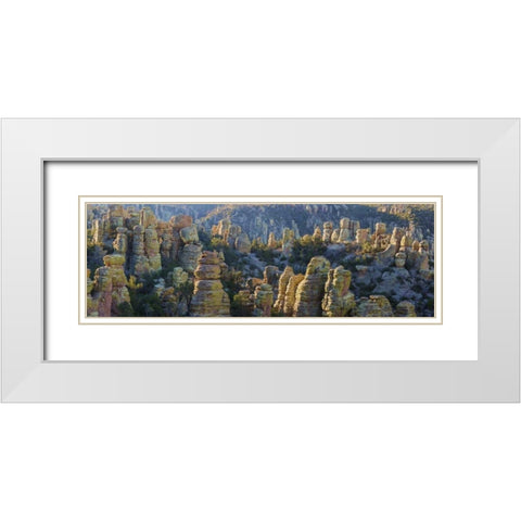 AZ, Chiricahua NM Panoramic of rocky landscape White Modern Wood Framed Art Print with Double Matting by Paulson, Don