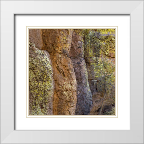 Arizona, Chiricahua National Monument Cliff face White Modern Wood Framed Art Print with Double Matting by Paulson, Don