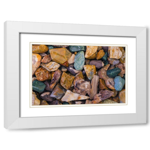 USA, Arizona, Tucson Detail of polished rocks White Modern Wood Framed Art Print with Double Matting by Paulson, Don