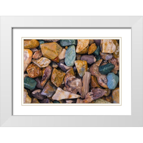 USA, Arizona, Tucson Detail of polished rocks White Modern Wood Framed Art Print with Double Matting by Paulson, Don