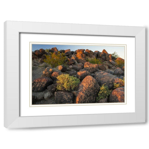 Arizona, Painted Rocks Rocks with petroglyphs White Modern Wood Framed Art Print with Double Matting by Illg, Cathy and Gordon