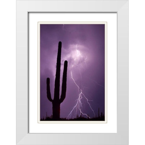 Arizona Saguaro cactus and lightning White Modern Wood Framed Art Print with Double Matting by Zuckerman, Jim