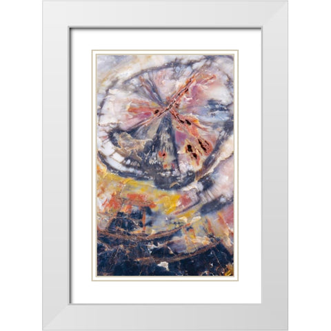 Arizona, Petrified Forest Petrified wood detail White Modern Wood Framed Art Print with Double Matting by Delisle, Gilles