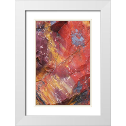 Arizona, Petrified Forest Petrified wood detail White Modern Wood Framed Art Print with Double Matting by Delisle, Gilles