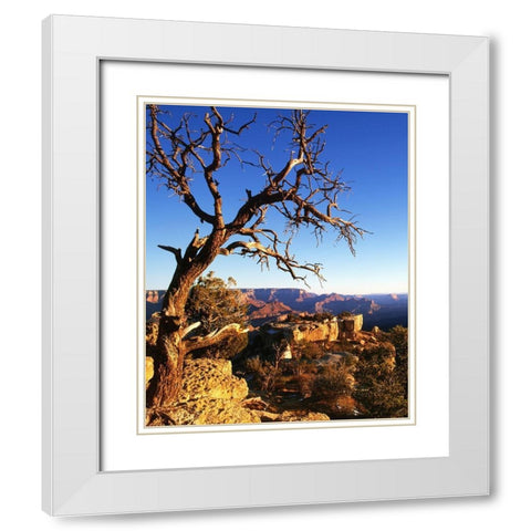 Arizona-Grand Canyon National Park South Rim of canyon  White Modern Wood Framed Art Print with Double Matting by Jaynes Gallery