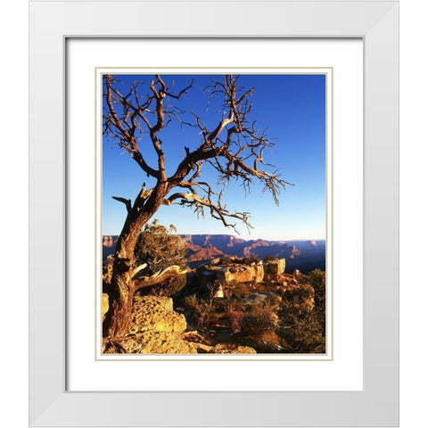 Arizona-Grand Canyon National Park South Rim of canyon  White Modern Wood Framed Art Print with Double Matting by Jaynes Gallery