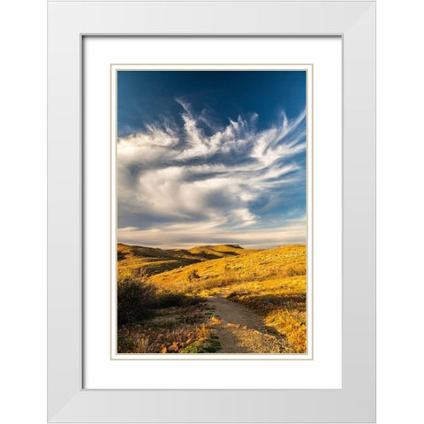 Arizona-Globe Desert landscape in Round Mountain Park White Modern Wood Framed Art Print with Double Matting by Jaynes Gallery