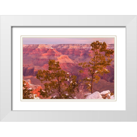 Arizona-Grand Canyon National Park Sunrise on Mather Point White Modern Wood Framed Art Print with Double Matting by Jaynes Gallery