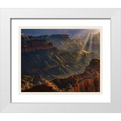 Arizona-Grand Canyon National Park North Rim of Grand Canyon at sunrise  White Modern Wood Framed Art Print with Double Matting by Jaynes Gallery