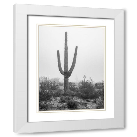 Arizona-Buckeye Black and white of saguaro cactus in fog  White Modern Wood Framed Art Print with Double Matting by Jaynes Gallery