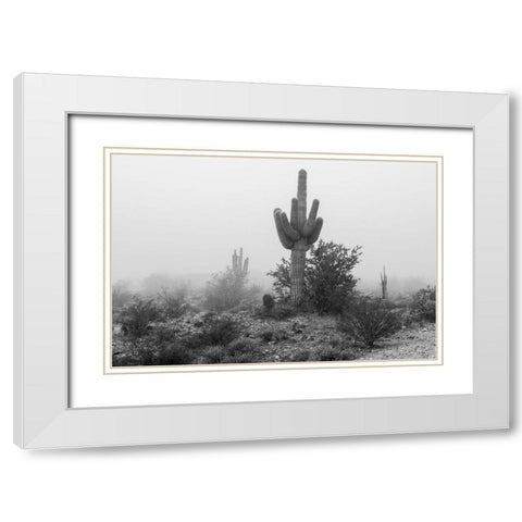 Arizona-Buckeye Black and white of saguaro cactus in fog  White Modern Wood Framed Art Print with Double Matting by Jaynes Gallery