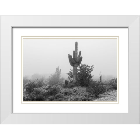 Arizona-Buckeye Black and white of saguaro cactus in fog  White Modern Wood Framed Art Print with Double Matting by Jaynes Gallery
