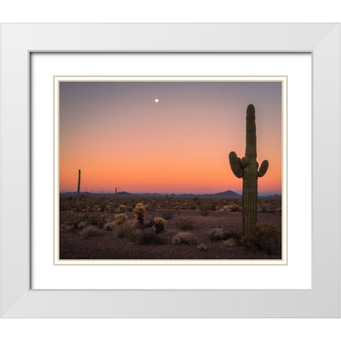 USA-Arizona-Kofa National Wildlife Area-Mountain and desert landscape at sunset White Modern Wood Framed Art Print with Double Matting by Jaynes Gallery