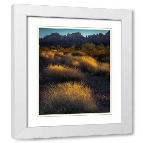 USA-Arizona-Kofa National Wildlife Area-Mountain and desert landscape at sunrise White Modern Wood Framed Art Print with Double Matting by Jaynes Gallery