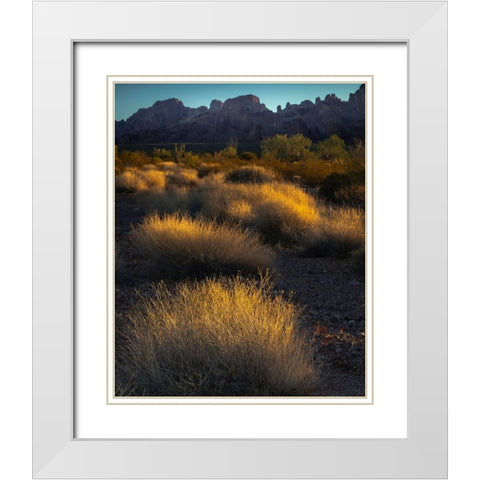 USA-Arizona-Kofa National Wildlife Area-Mountain and desert landscape at sunrise White Modern Wood Framed Art Print with Double Matting by Jaynes Gallery