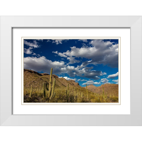 Saguaro Cactus in the Santa Catalina Mountains in Coronado National Forest in Tucson-Arizona-USA White Modern Wood Framed Art Print with Double Matting by Haney, Chuck