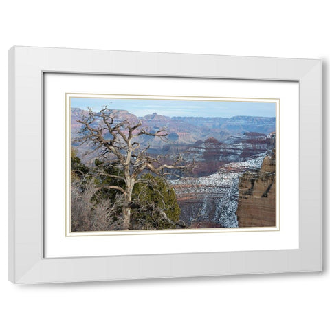 Powell Point-Grand Canyon National Park-Arizona-USA White Modern Wood Framed Art Print with Double Matting by Reynolds, Gerry