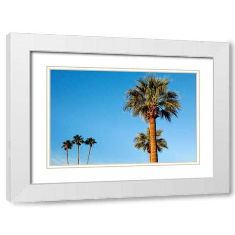 Palm trees-Carefree-Arizona White Modern Wood Framed Art Print with Double Matting by McRoberts, Julien