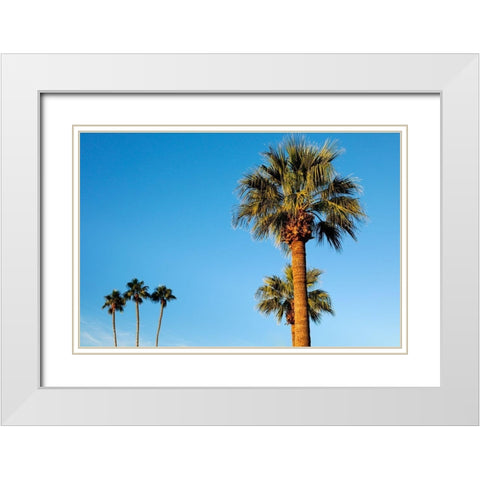 Palm trees-Carefree-Arizona White Modern Wood Framed Art Print with Double Matting by McRoberts, Julien