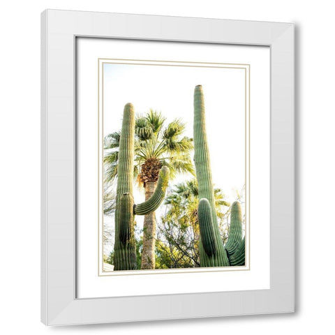 Desert cactus-Carefree-Arizona White Modern Wood Framed Art Print with Double Matting by McRoberts, Julien