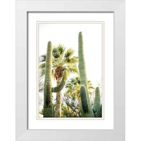 Desert cactus-Carefree-Arizona White Modern Wood Framed Art Print with Double Matting by McRoberts, Julien