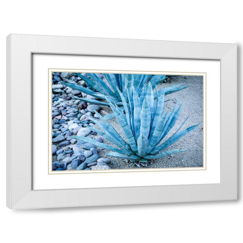 Desert cactus-Carefree-Arizona White Modern Wood Framed Art Print with Double Matting by McRoberts, Julien