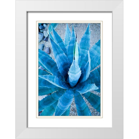 Desert cactus-Carefree-Arizona White Modern Wood Framed Art Print with Double Matting by McRoberts, Julien