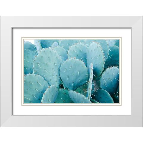 Desert cactus-Carefree-Arizona White Modern Wood Framed Art Print with Double Matting by McRoberts, Julien