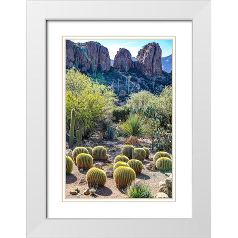 Arizona- USA. Saguaro Cactus White Modern Wood Framed Art Print with Double Matting by Sienda, Jolly