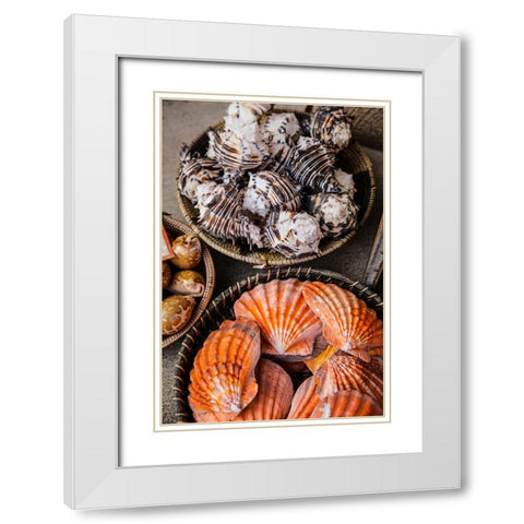 Arizona- USA. Seashells in woven baskets White Modern Wood Framed Art Print with Double Matting by Sienda, Jolly