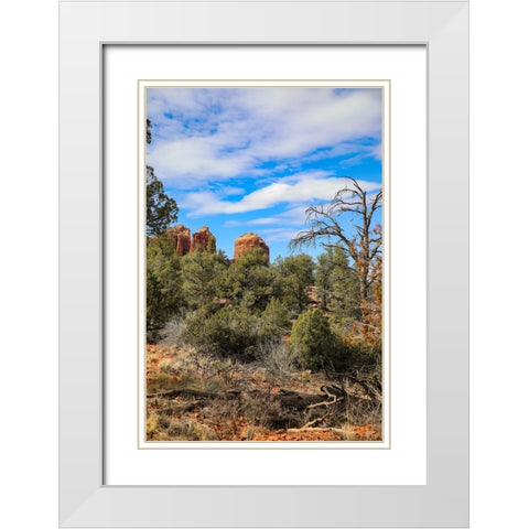 Sedona- Arizona- USA. Cathedral Rock- red rock formations White Modern Wood Framed Art Print with Double Matting by Sienda, Jolly