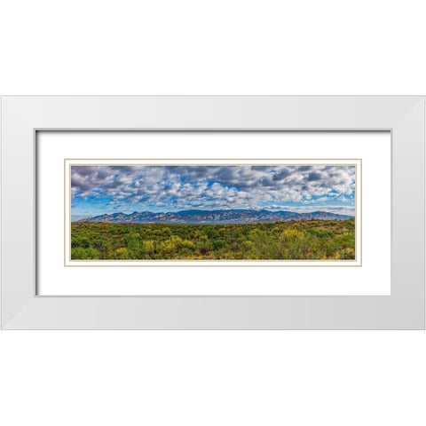Arizona-Tucson-Saguaro National Park White Modern Wood Framed Art Print with Double Matting by Hawkins, Peter