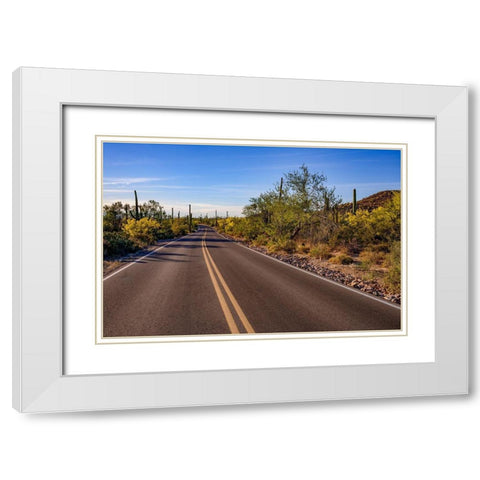 Arizona-Tucson-Saguaro National Park White Modern Wood Framed Art Print with Double Matting by Hawkins, Peter