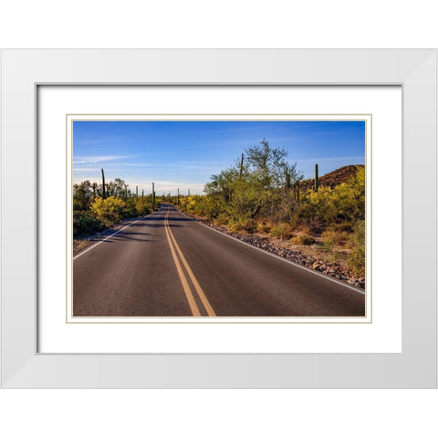Arizona-Tucson-Saguaro National Park White Modern Wood Framed Art Print with Double Matting by Hawkins, Peter