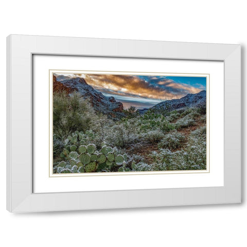 Arizona-Tucson Mountain Park White Modern Wood Framed Art Print with Double Matting by Hawkins, Peter